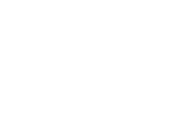 access2pay FINAL LOGO WHITE